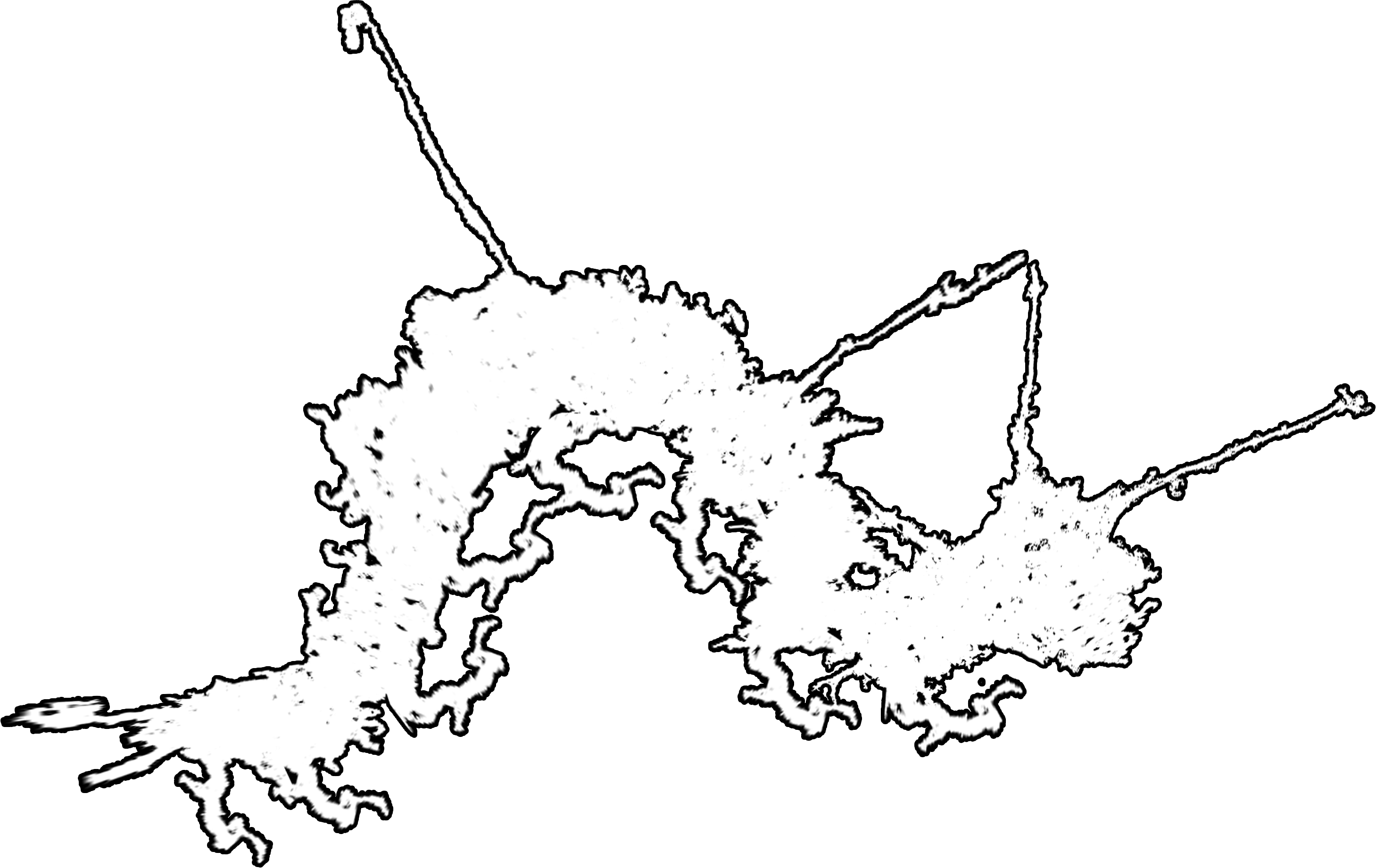 Caterpillar symbol
